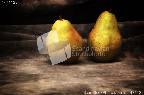 Image of two ripe bosc pears on gray studio backdrop