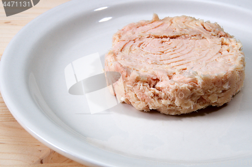 Image of close up of canned tuna on plate