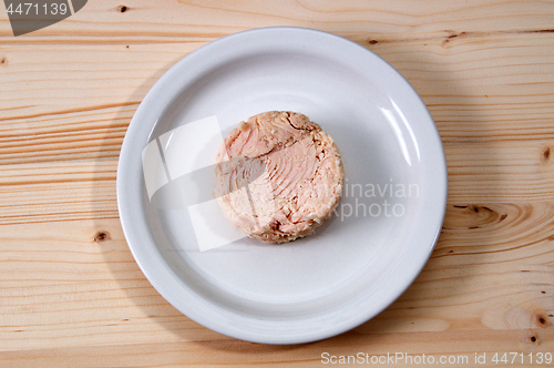 Image of white tuna on plate from above