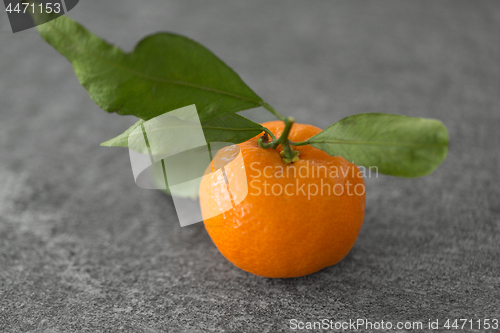 Image of close up of mandarin on table