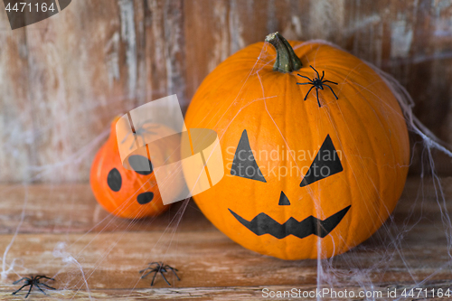 Image of halloween pumpkins with spiders and cobweb
