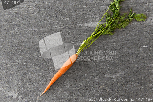 Image of close up of one carrot on table