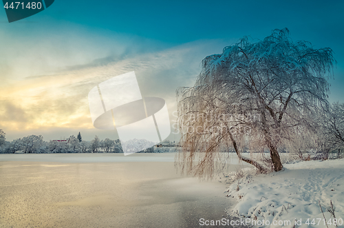 Image of Winter landscape with lake and tree in the frost