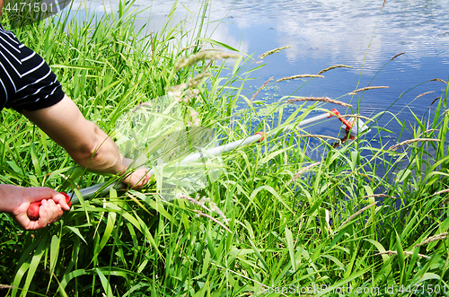 Image of Take samples of water for laboratory testing. The concept - anal