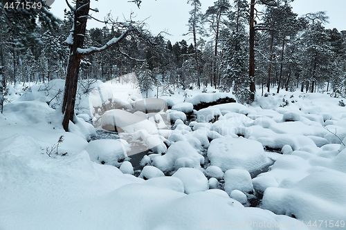 Image of Winter Snowy Landscape