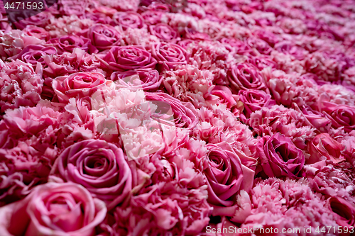 Image of Natural roses background closeup