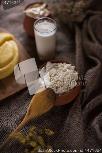 Image of Organic milk cottage cheese and cream
