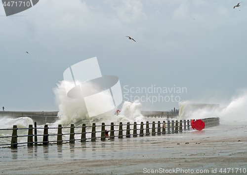 Image of Waves Breaking at Newhaven Harbour