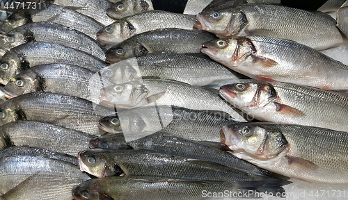 Image of Fresh fish on ice for sale in market