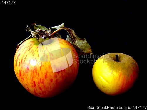 Image of apple