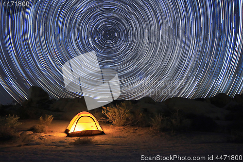 Image of Joshua Tree National Park Star Trails