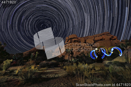 Image of Joshua Tree National Park Star Trails