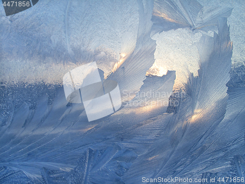 Image of Beautiful ice pattern and sunlight