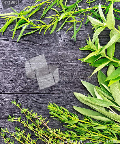 Image of Frame of spicy herbs on wooden table