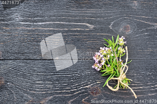 Image of Thyme leaves and flowers on black board