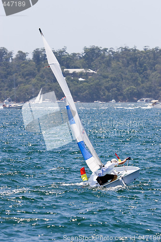 Image of Sailing on the Harbour