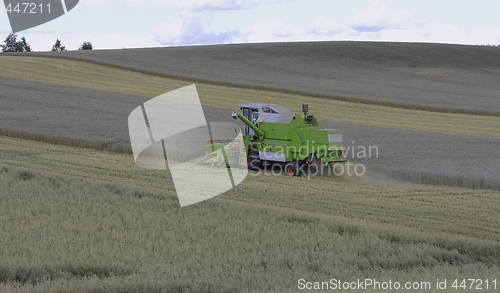 Image of Harvesting. 