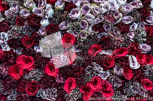 Image of Natural roses background closeup