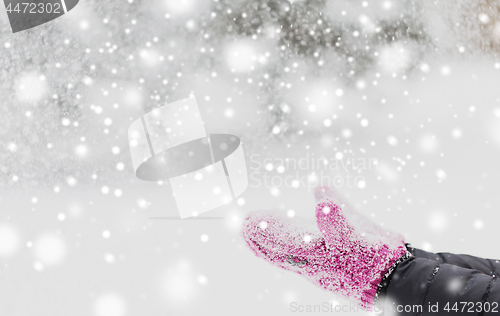 Image of close up of woman throwing snow outdoors