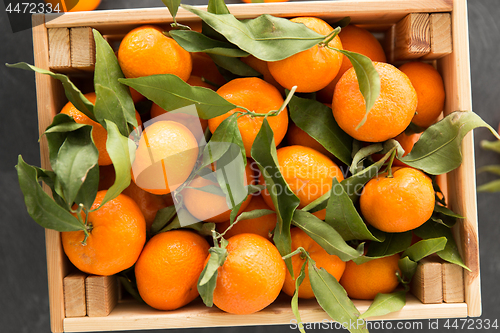 Image of close up of mandarins on slate table top