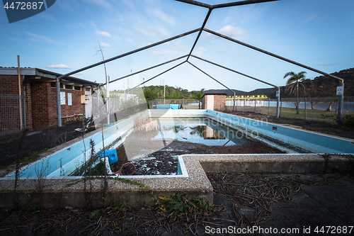 Image of Abandoned forgotton swimming pool