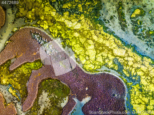 Image of Colours and textures of Nangudga Lake Australia