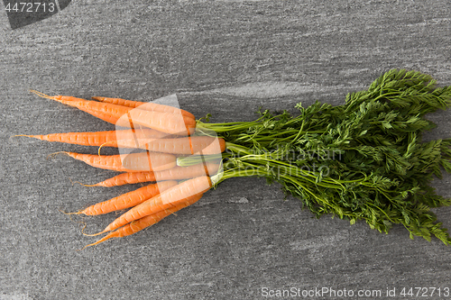 Image of close up of carrot bunch on table