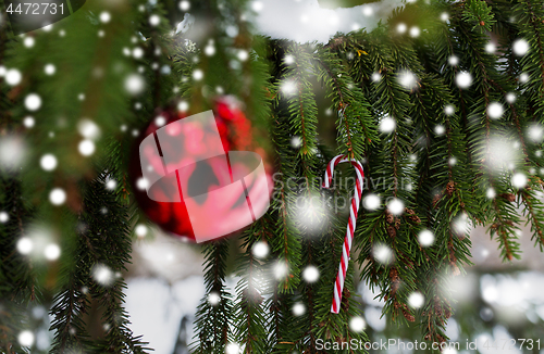 Image of candy cane and christmas ball on fir tree branch