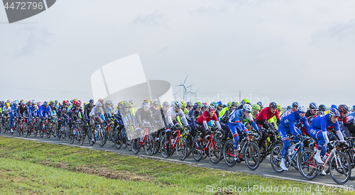 Image of The Peloton - Paris-Nice 2016