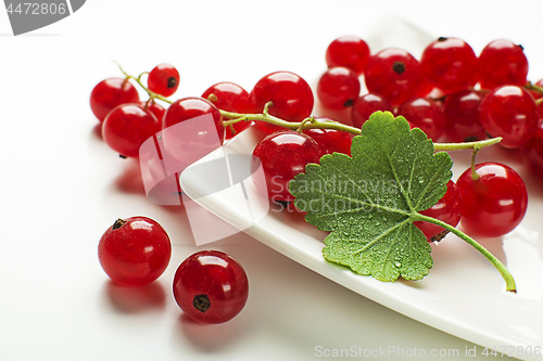 Image of Currant berries