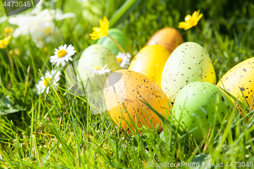 Image of colored Easter eggs hidden in flowers and grass