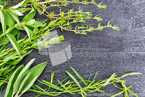 Image of Frame of spicy herbs on black wooden board