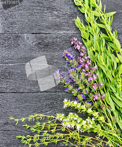 Image of Frame of spicy herbs on black wooden table