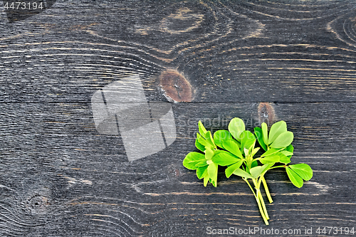 Image of Fenugreek leaves on black wooden board