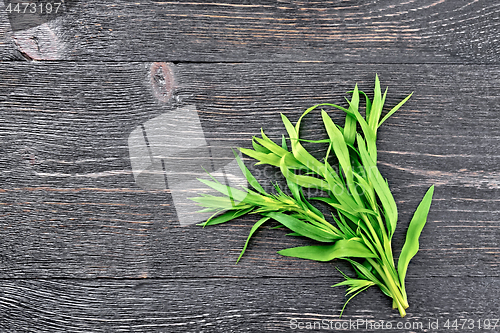 Image of Tarragon leaves on black board