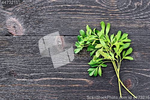 Image of Rue leaves on black board