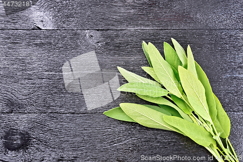 Image of Sage leaves on black wooden board