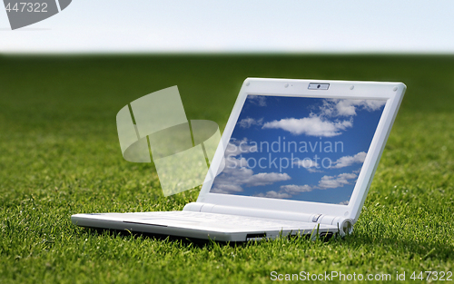 Image of white laptop in nature