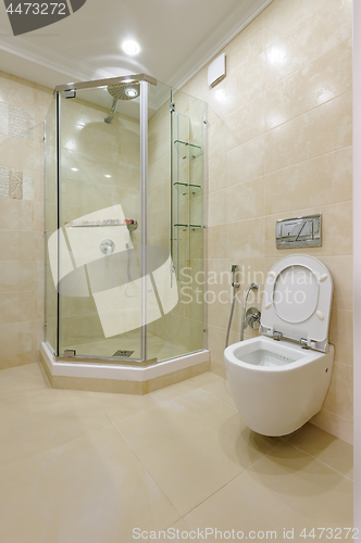 Image of Bright bathroom interior with glass shower and toilet