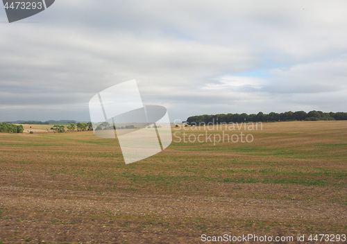 Image of English country panorama in Salisbury