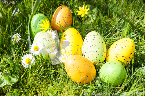 Image of colored Easter eggs hidden in flowers and grass