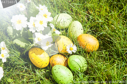 Image of colored Easter eggs hidden in flowers and grass