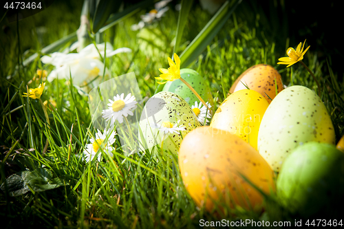 Image of colored Easter eggs hidden in flowers and grass