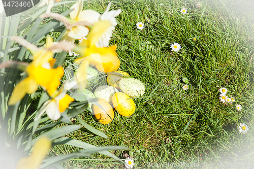 Image of colored Easter eggs hidden in flowers and grass