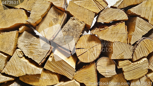 Image of Firewood pile stacked chopped wood trunks