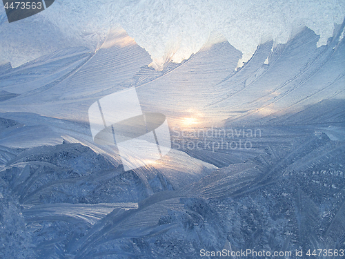 Image of Beautiful ice pattern and sunlight