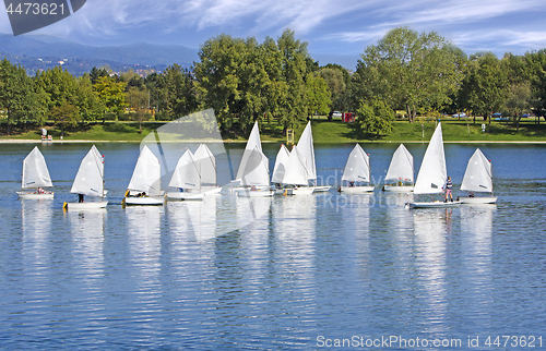 Image of The small sailing ships regatta on the blue lake