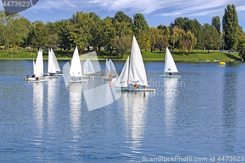 Image of The small sailing ships regatta on the blue lake