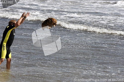 Image of flying dog