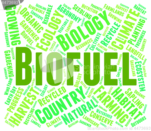 Image of Biofuel Word Means Green Energy And Biogas